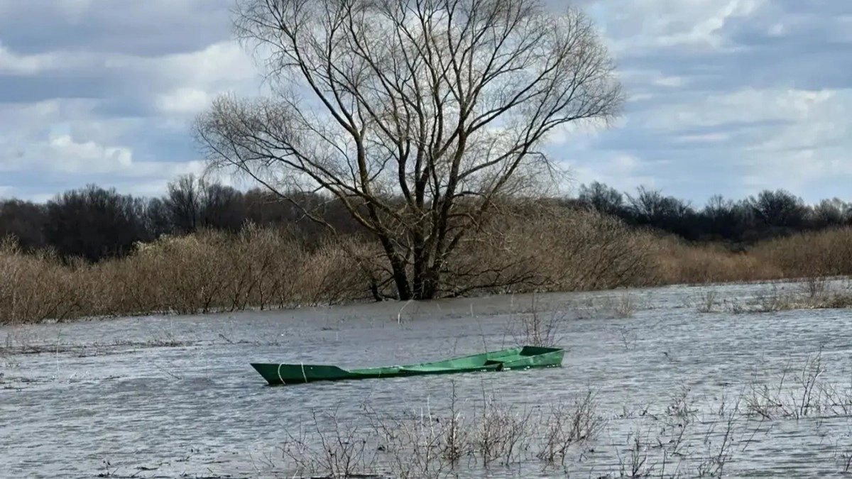 На водоеме в Меленковском районе обнаружены тела двух рыбаков