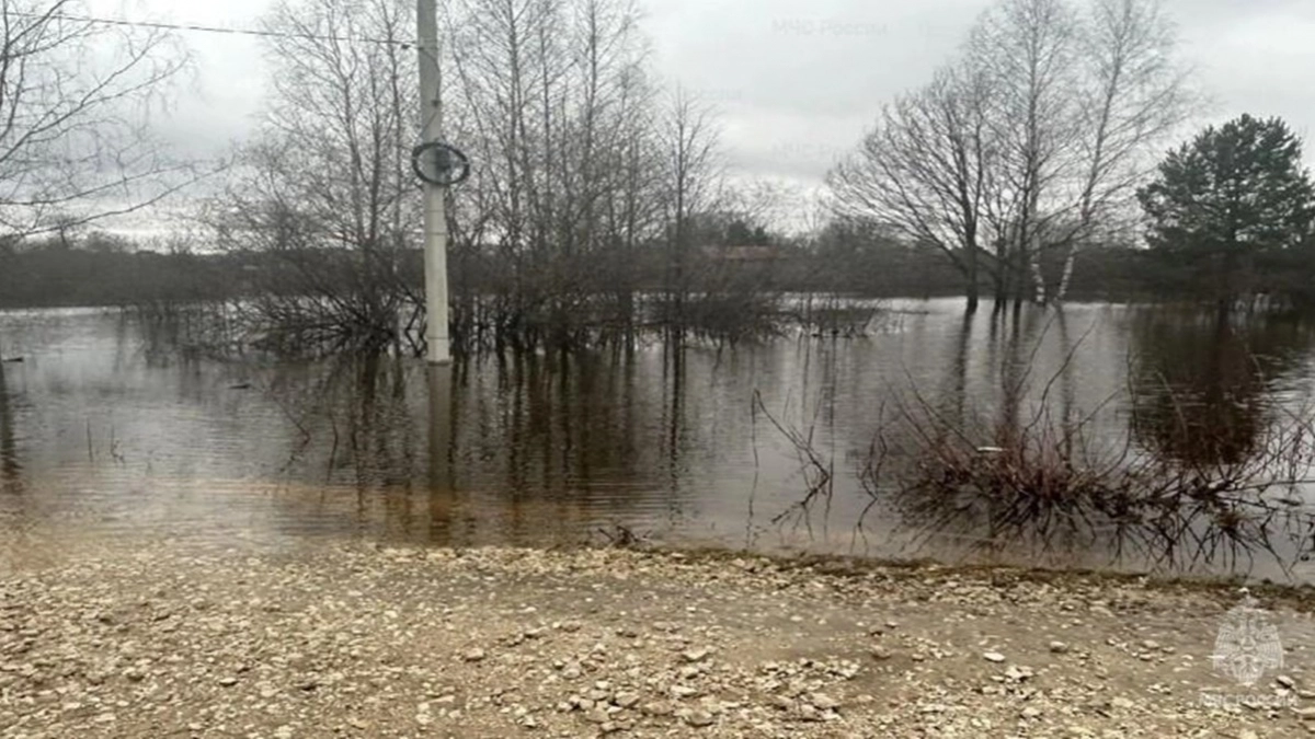 За сутки паводок охватил почти 400 участков во Владимирской области