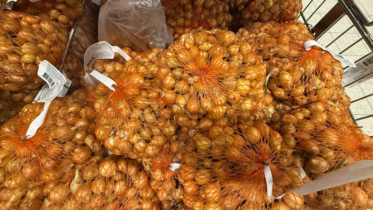 Никогда не сажайте лук, пока не узнаете эти правила – мой способ даёт отличные луковицы каждый год