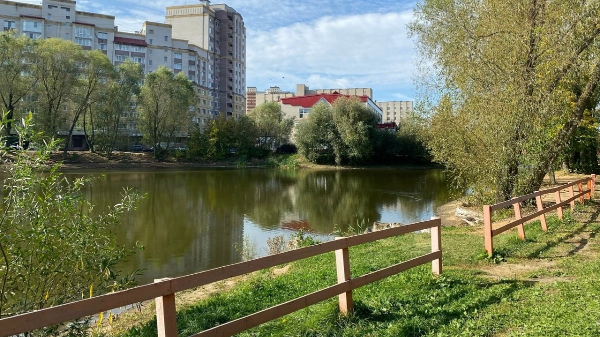 Мальки в Соловьином пруду во Владимире не выдержали погодных условий