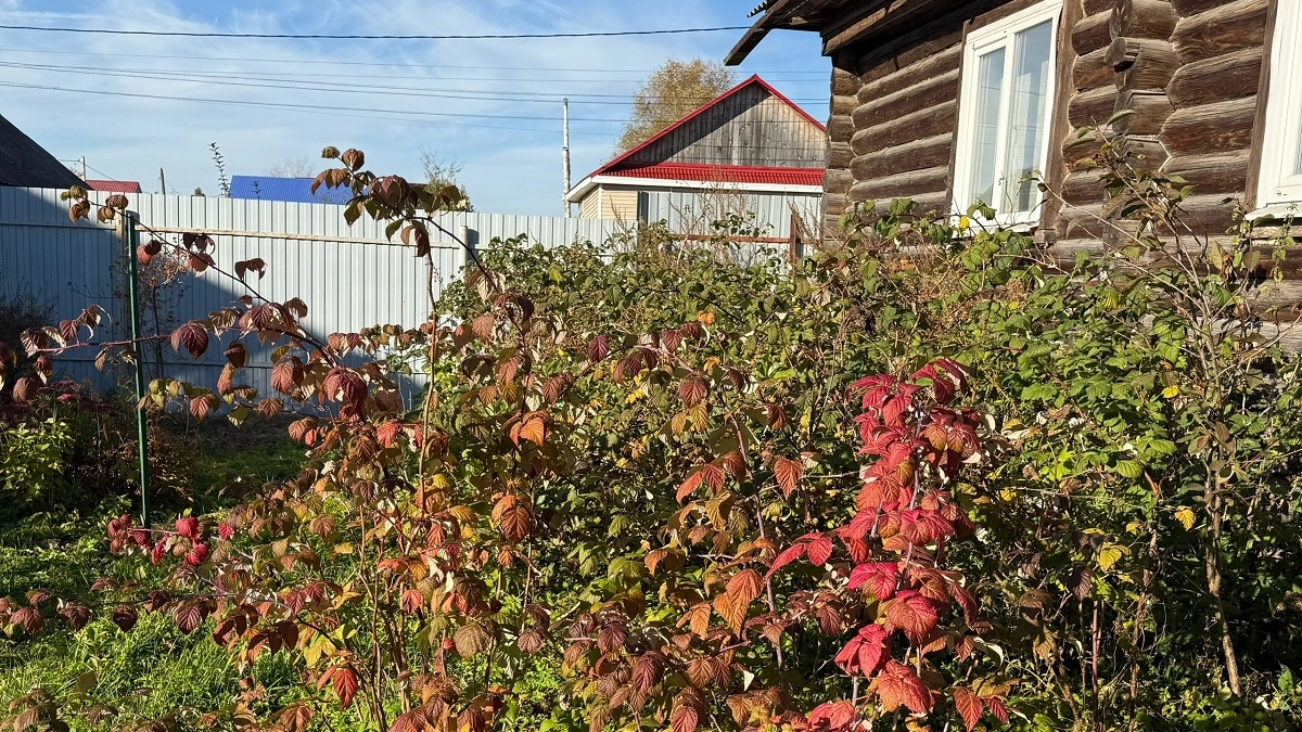 Превращаем дачу в загородный рай: главные тренды-2026 по обустройству, которые позволят меньше работать и больше отдыхать