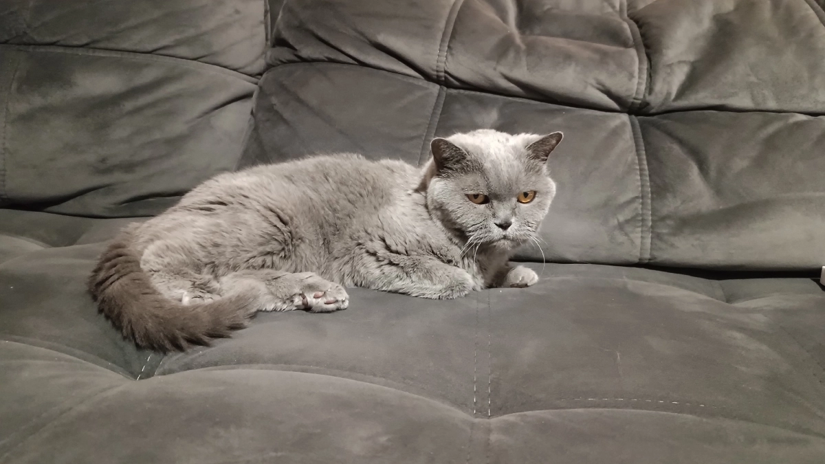 Ставить диван у стены больше не в тренде: рассказываем про 4 современных приема для удобной гостиной