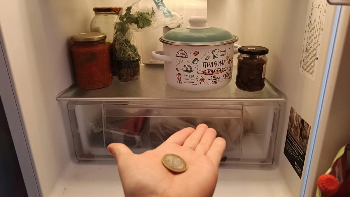 Узнала, зачем опытные хозяйки кладут монетку в холодильник: сама положила - и теперь сплю спокойно 