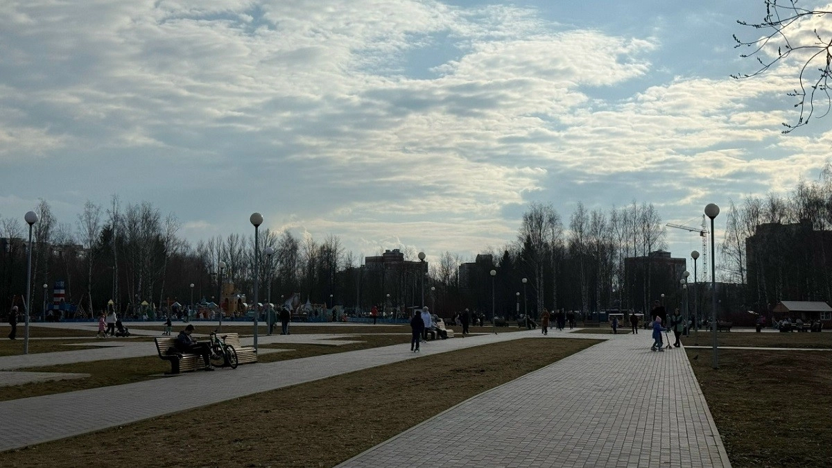 Во Владимире закроют два парка на время обработки от клещей