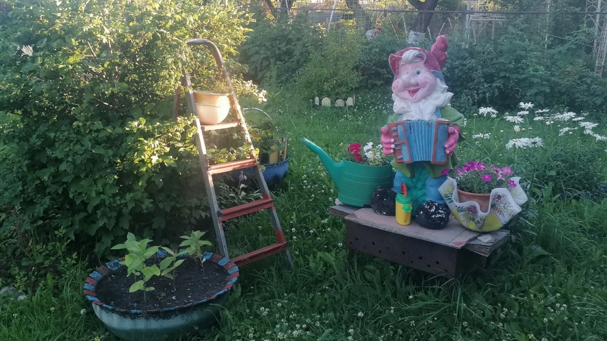 Как я обустроил дачу за копейки и превратил её в райское место: 10 идей для стильного и уютного участка