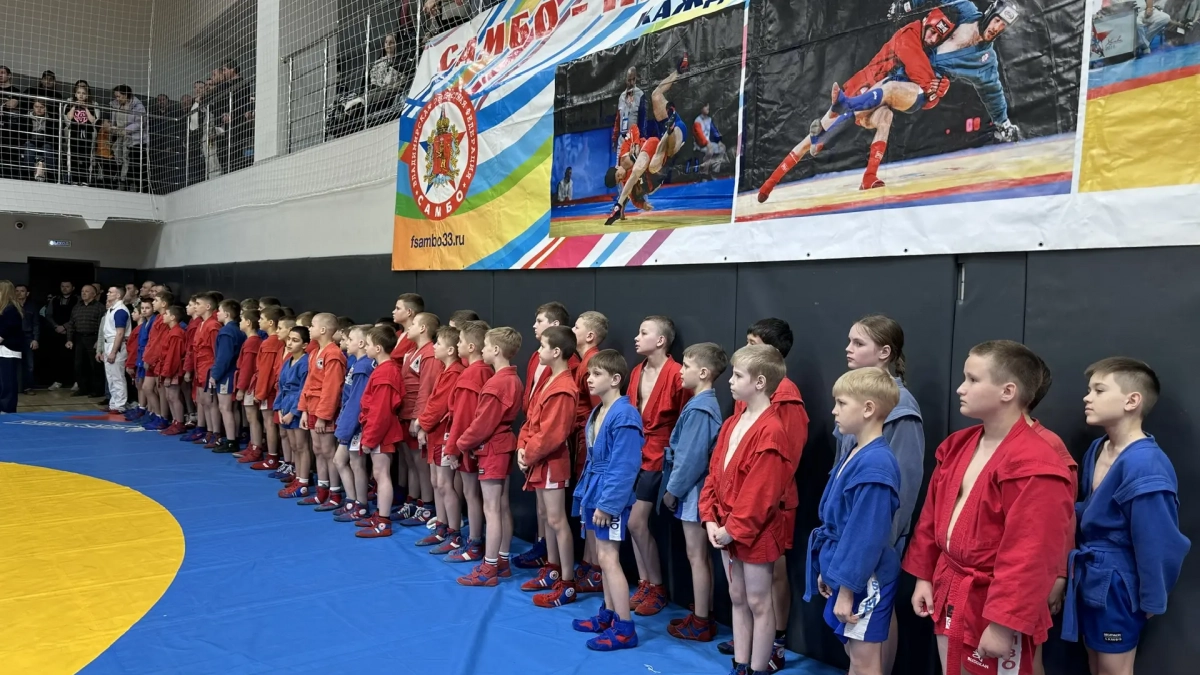 Во Владимире самбисты померились силой и мастерством