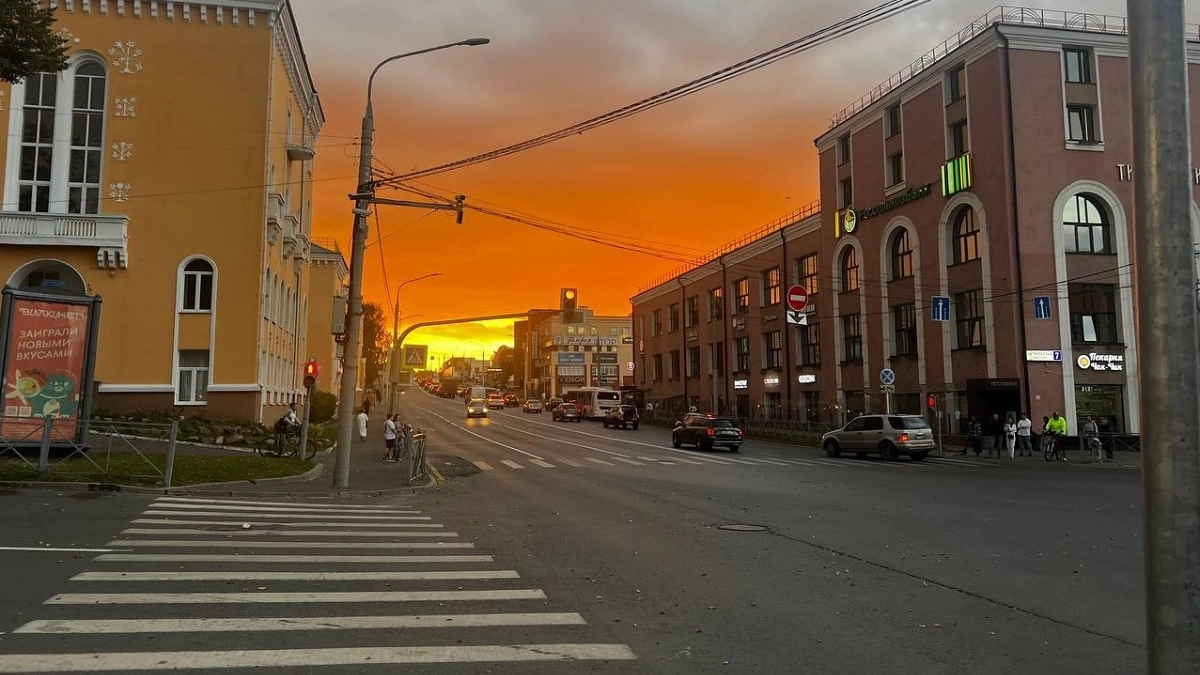 Может ли водитель не пропускать людей на "зебре"? В ГАИ дали окончательный ответ