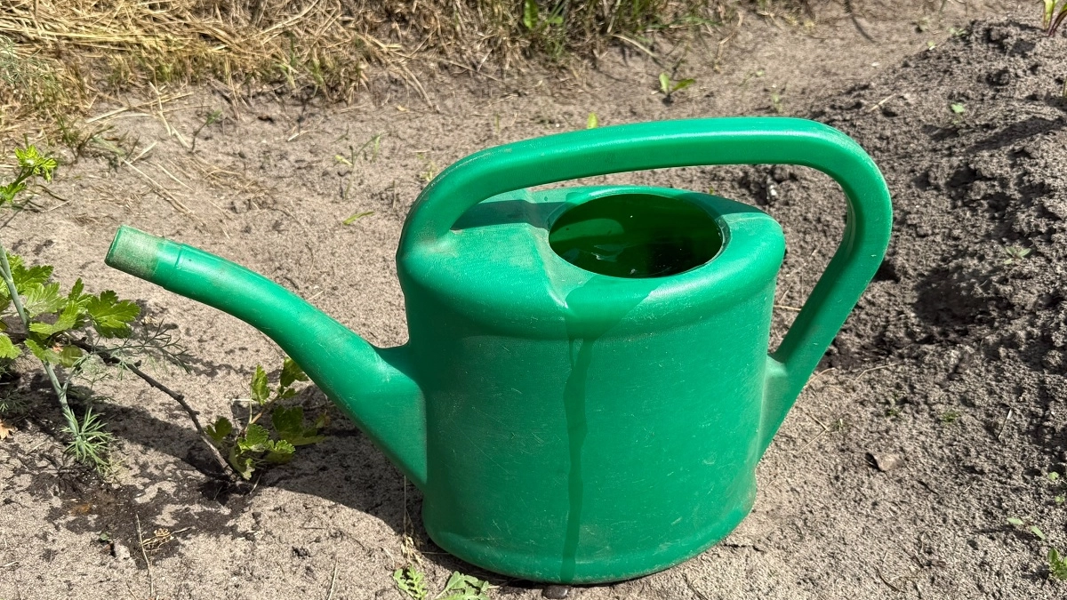 Зачем опытные огородники приматывают ложку к лейке: лайфхак, который экономит часы