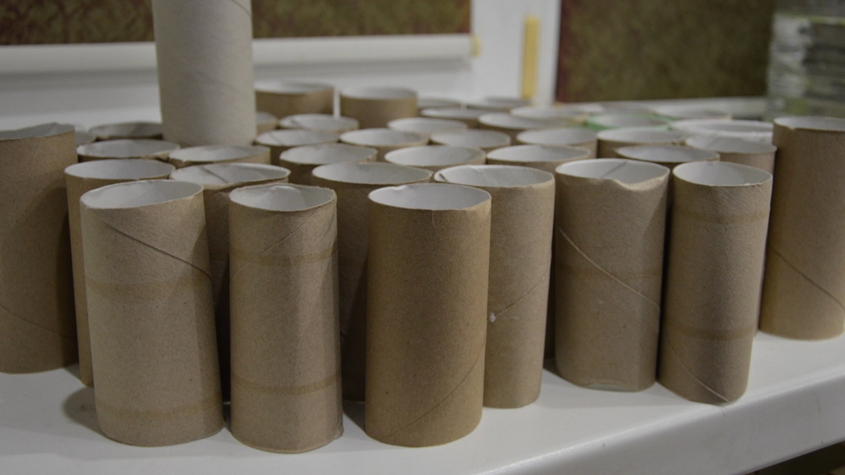 Собираю втулки от туалетной бумаги даже у соседей: вот зачем они нужны в саду и огороде — производители молчат об этом