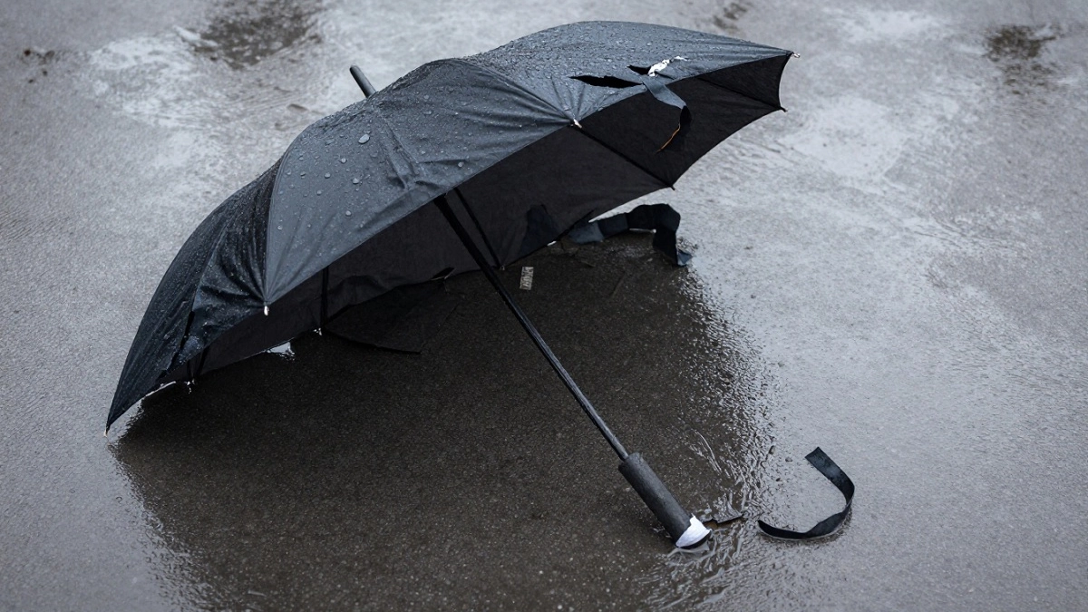 Сломанные зонтики не выкидываю и собираю по друзьям: показываю, какую полезную вещь для дома из них делаю