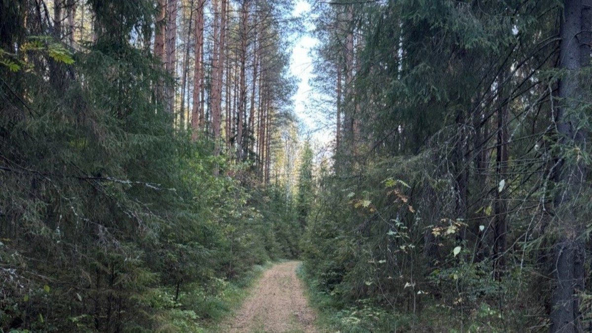 Пожароопасный сезон во Владимирской области стартует с 15 апреля