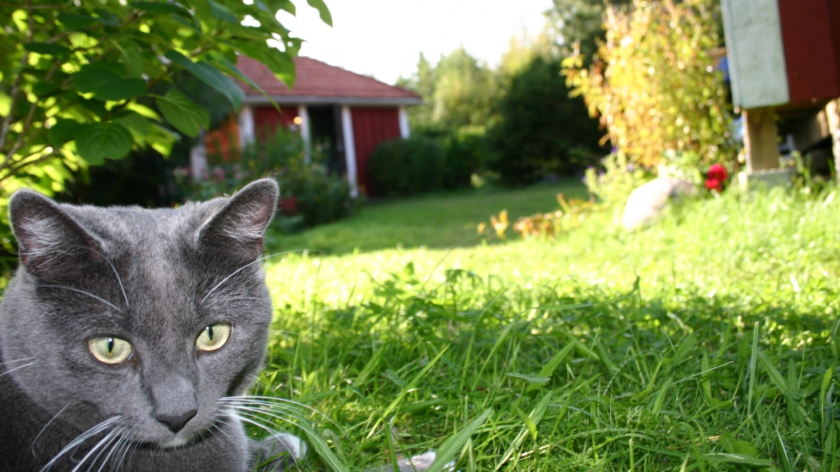 «Заберут и всё!»: у кого в апреле начнут отбирать дачи — сосед может сдать вас государству
