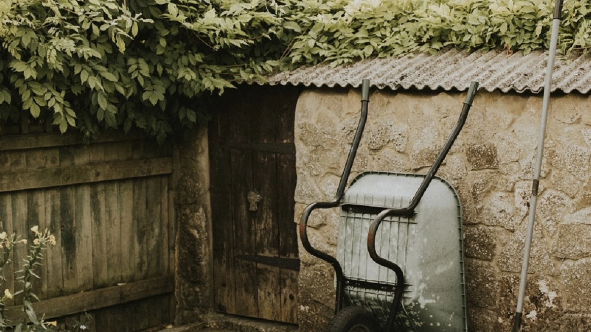 Конденсат в погребе — больше не проблема: помогла одна простая, но действенная хитрость. Всего 2 шага