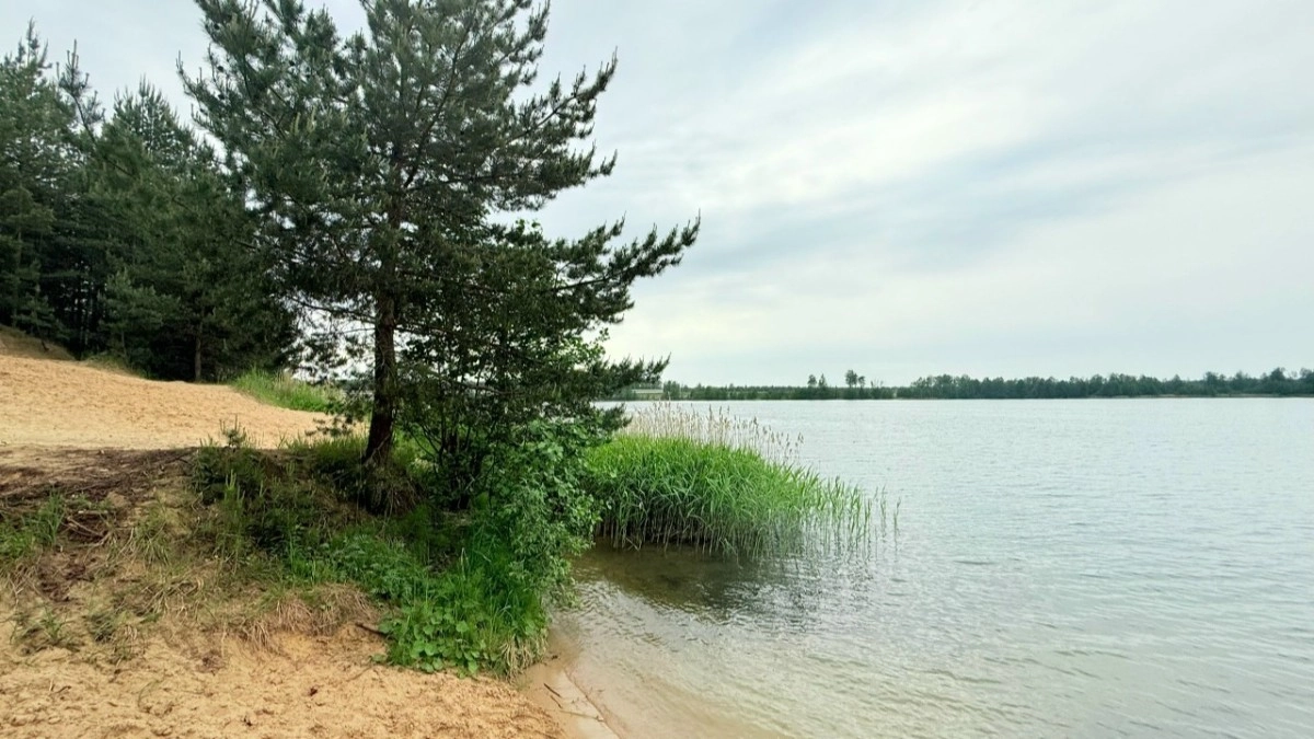 Во Владимирской области власти начали готовиться к купальному сезону