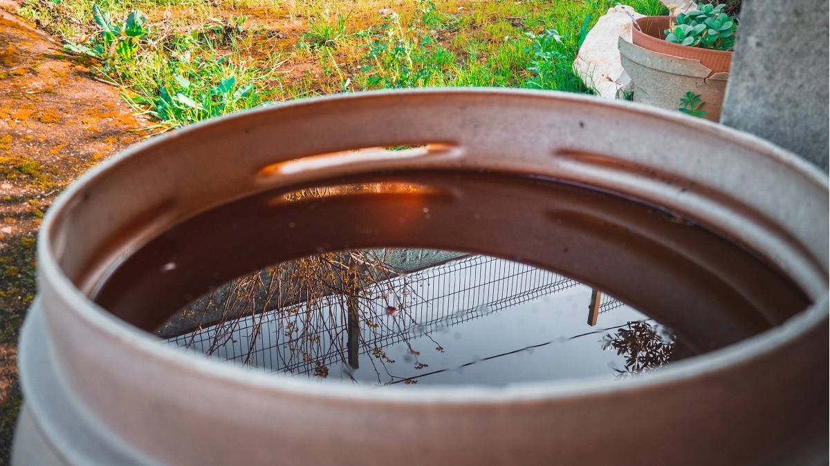 Не выбрасывайте старую железную бочку: 5 крутых идей использовать её на даче — не мусор, а "золото"