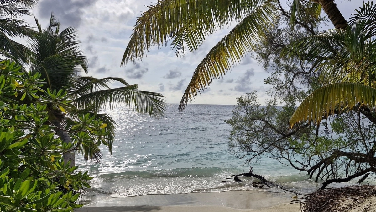 Турция в пролёте: в России нашли свой ответ Мальдивам — люкс за копейки, визы не спросят и вода как слеза