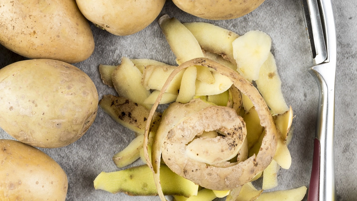 Картофельные очистки — не мусор, они на вес золота: вот как их правильно использовать на даче