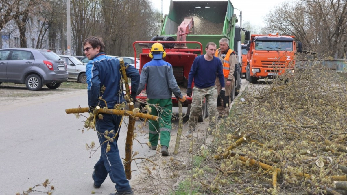 Жителей пригласили на общегородской субботник во Владимире