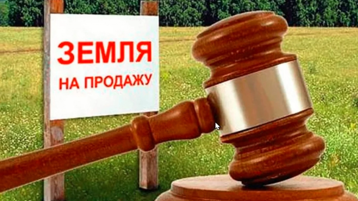 69 гектаров земли изъяли у собственницы участка в Александровском районе