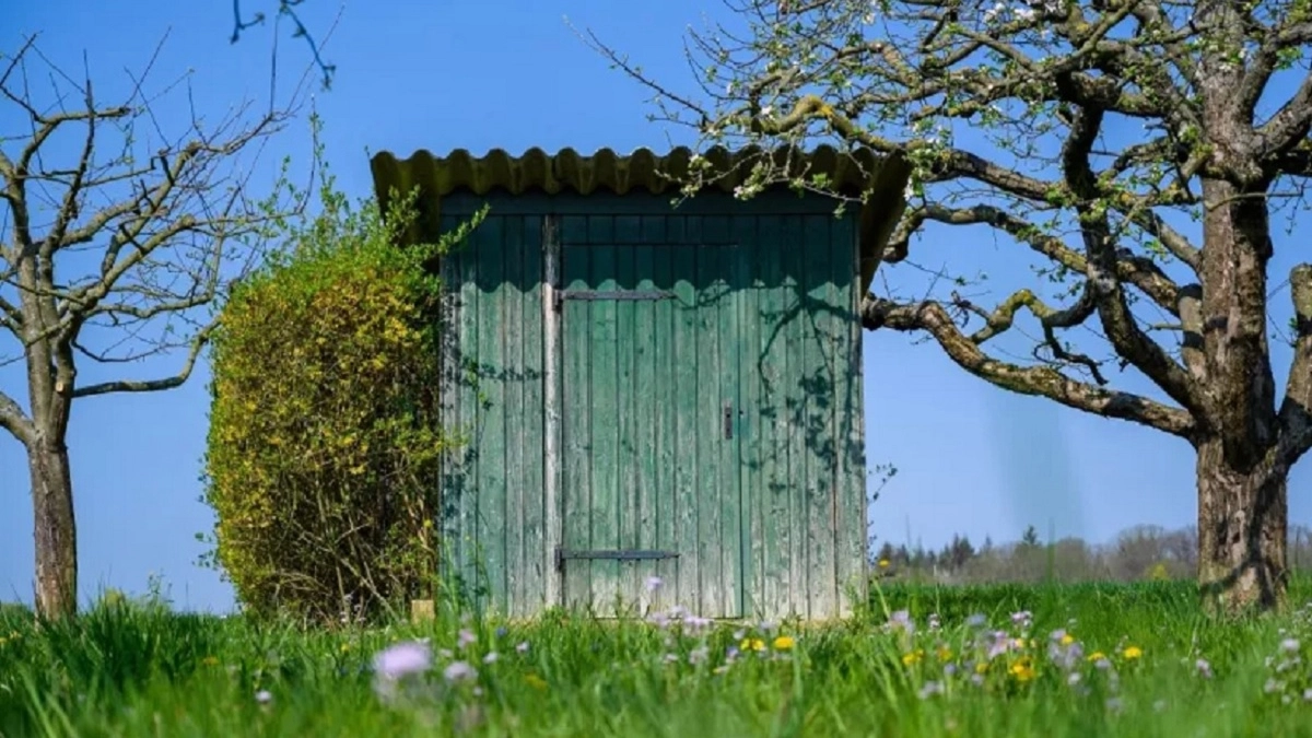 Что засыпать в туалет на даче от "ароматов" без химии: 4 копеечных способа, которые сработают моментально