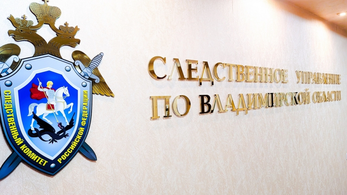 Глава Следкома Бастрыкин затребовал отчёт по факту гибели владимирских двойняшек