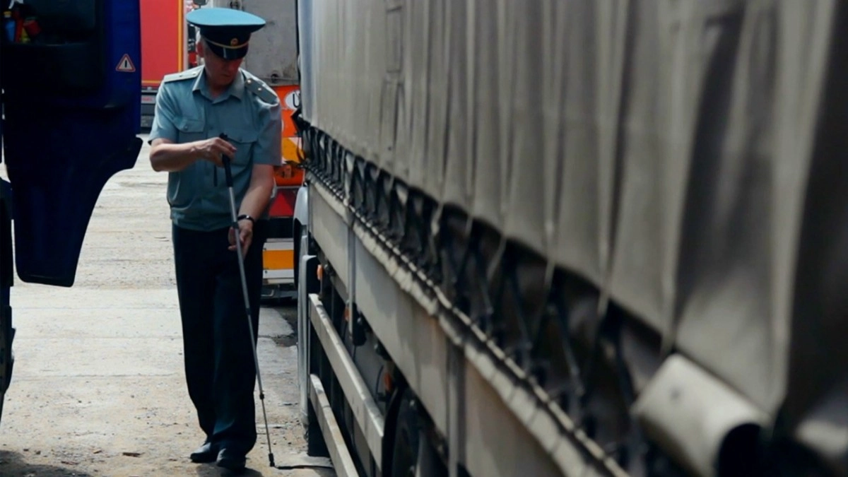 Владимирская таможня возбудила 340 административных дел с начала 2026 года