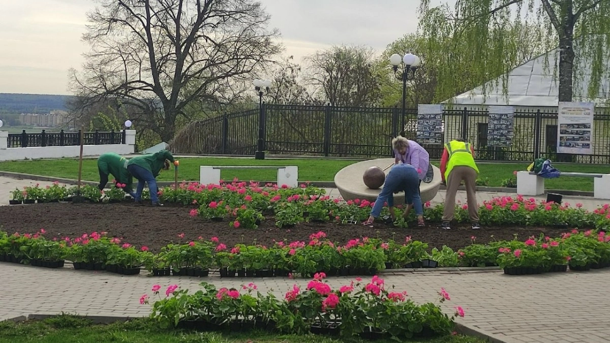 Жители 12 районов 33-го региона смогут выбрать территории для благоустройства