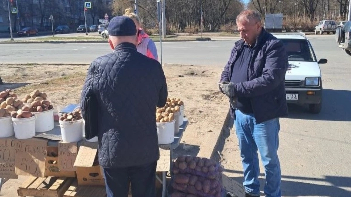 Владимирская мэрия нашла три нелегальные торговые точки на улице Егорова