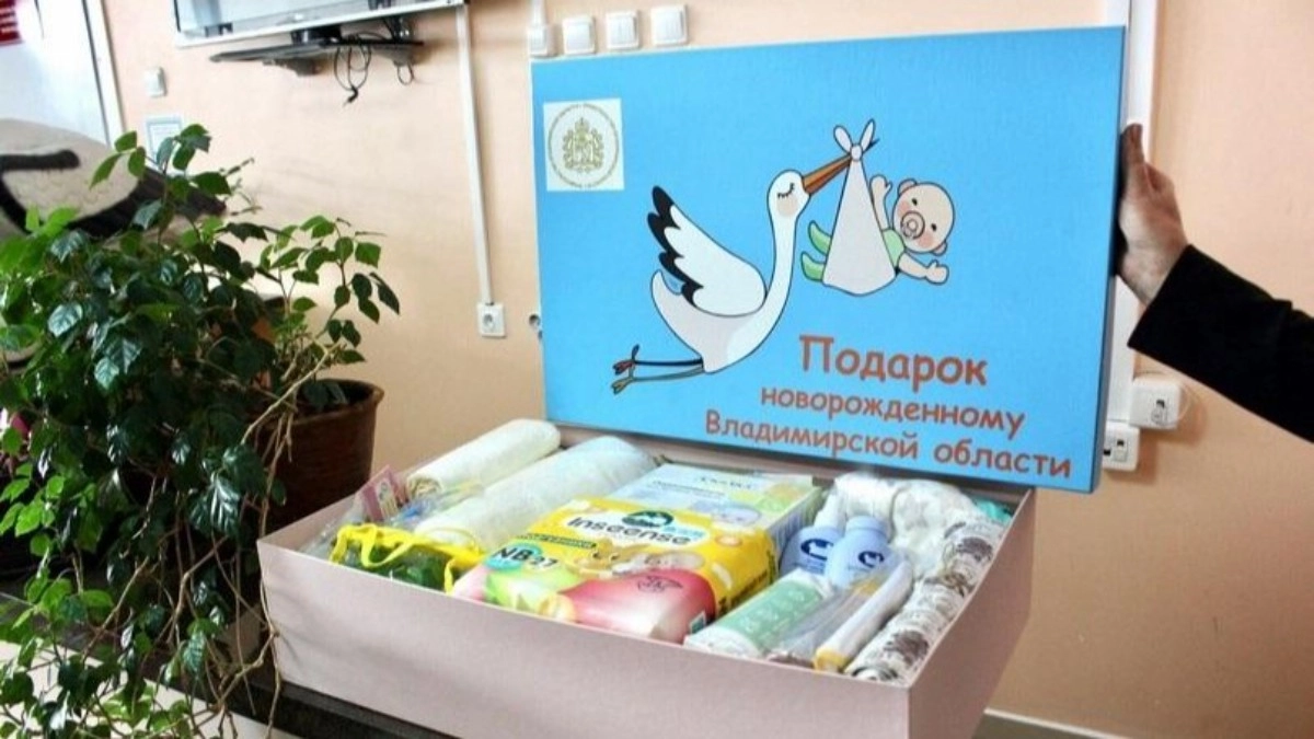 Студенческие семьи Владимирской области получат 200 тысяч рублей за каждого новорожденного ребенка