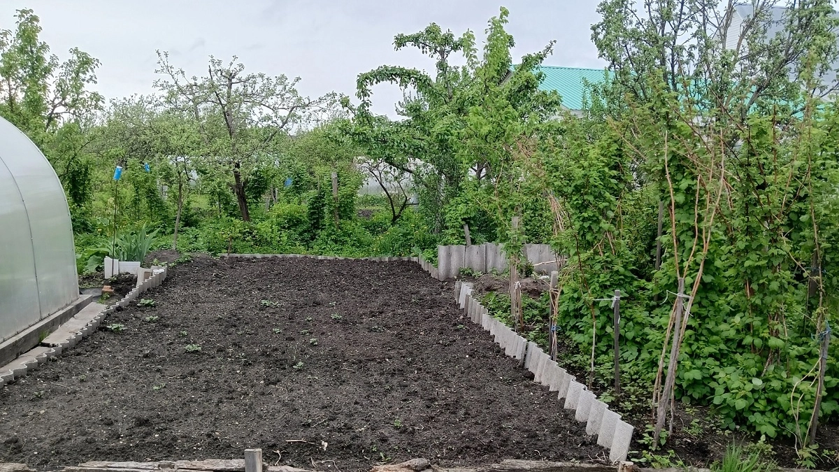 Остатки шифера не выбрасываю и собираю у знакомых: 4 трендовые идеи-2026 использовать их на даче — соседи обзавидуются