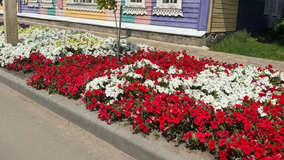 Владимирские улицы будут украшены тысячами цветов в 2026 году