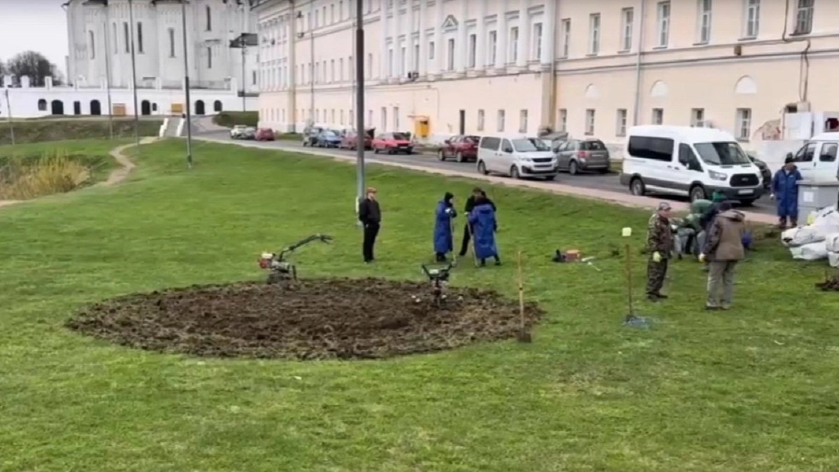 За музейным центром «Палаты» высадили розарий