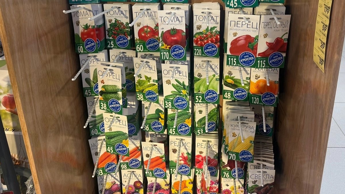 Урвала в Fix Price семена за 7 рублей: цветы на даче выросли роскошные, но больше такие ни за что не куплю - печальный опыт