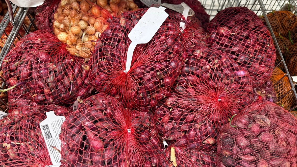 Обработайте севок перед посадкой этим способом - и он никогда не заболеет и вырастет с «кулак»