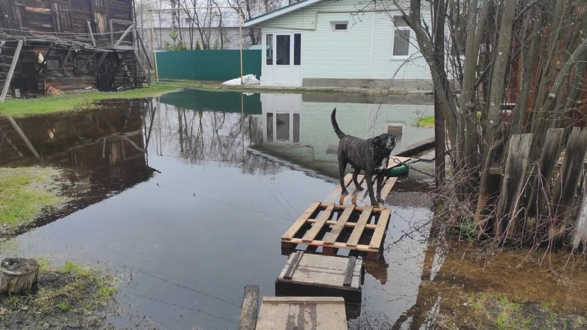 В Муроме ликвидируют подтопление жилых домов