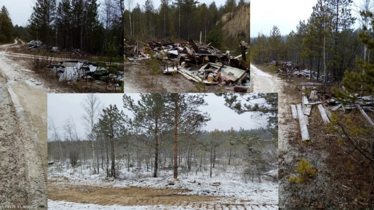 Ковровское лесопредприятие заставили убрать свалку в Селивановском районе