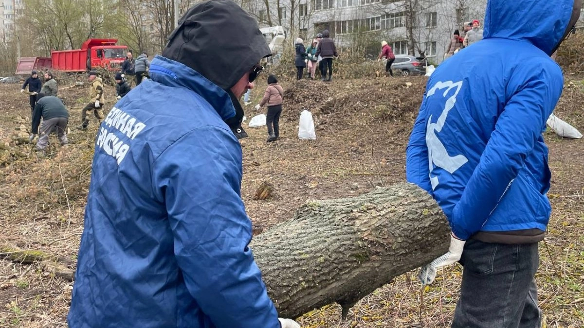 Во Владимирской области — генеральная уборка