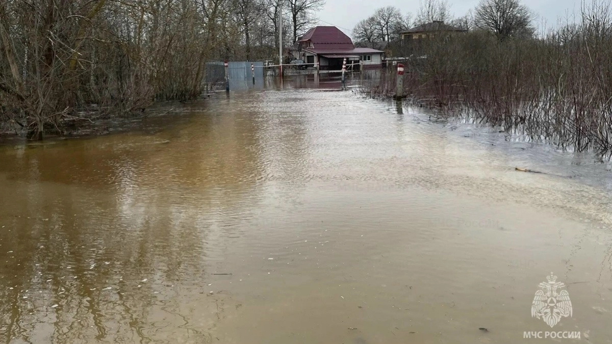 Подтопленными остаются около 60 приусадебных участков в двух районах 33-го региона