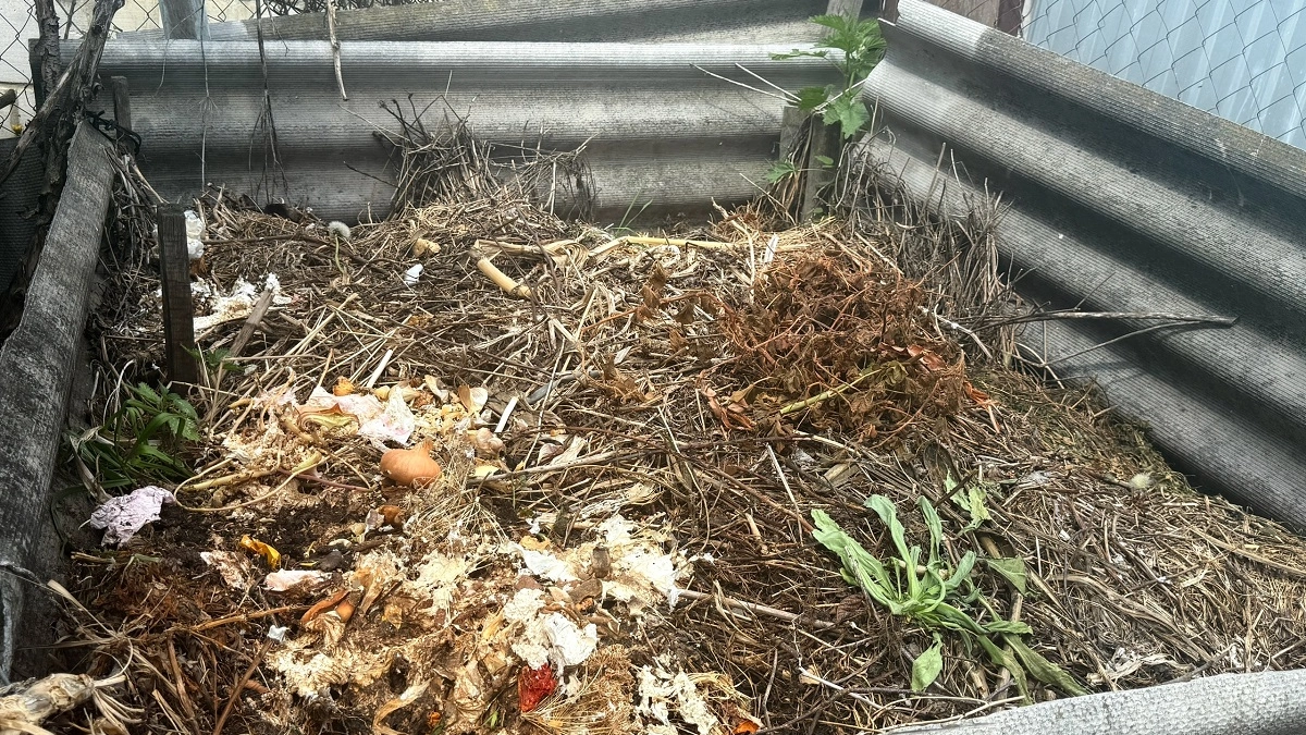 Мне говорили “невозможно”, а я делаю "чёрное золото" для огорода: рецепт компоста, который созревает за сезон