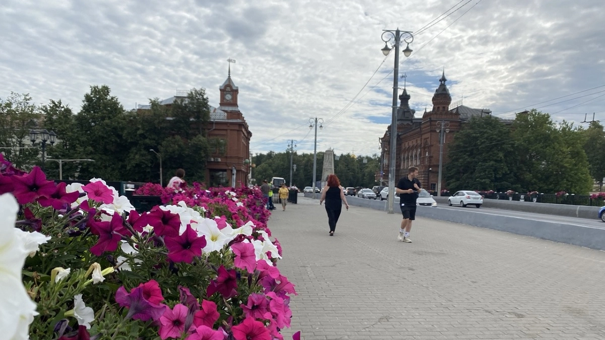 "Лето-2026 в Центральной России будет очень нервным: провалы в холод и волны жары": синоптики поразили новым прогнозом