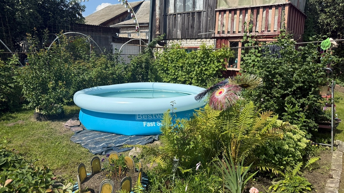 Что можно сажать рядом, а что нельзя - совместимость культур и 5 причин для раздельного выращивания