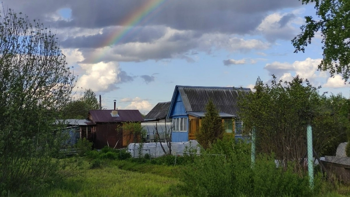 Садоводства 33-го региона задолжали за электричество более 53,6 миллиона рублей