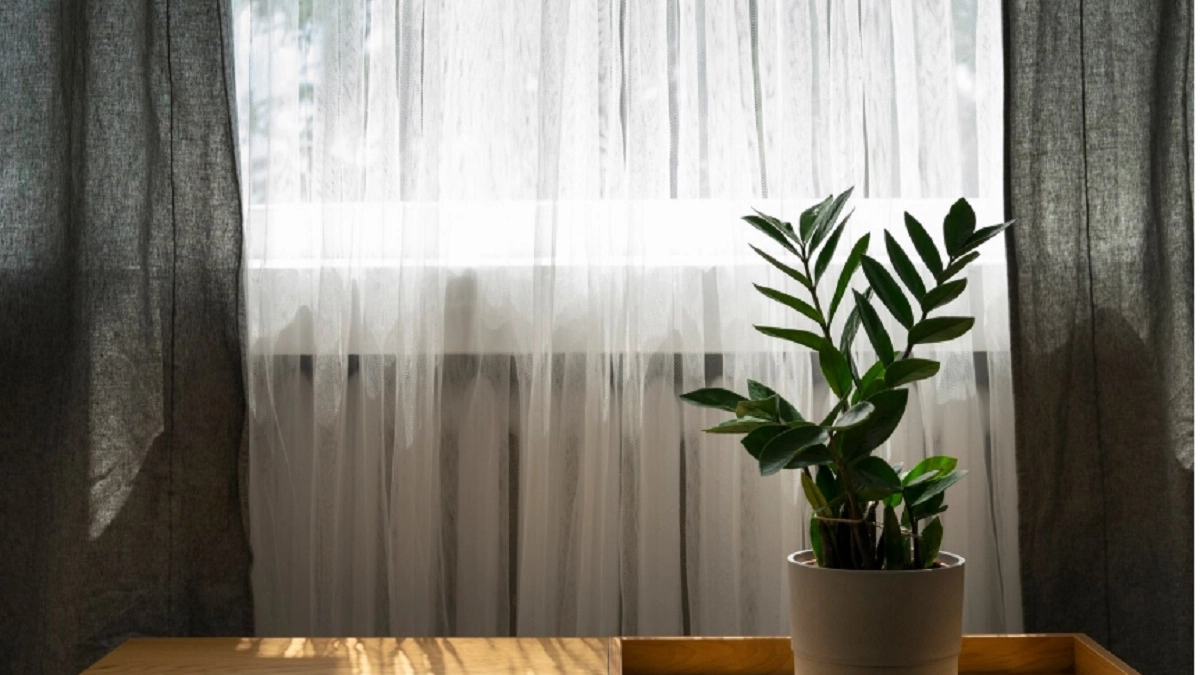 Жаль, что я не узнала об этом раньше: бабушкины методы, которые помогают отбелить тюль за копейки