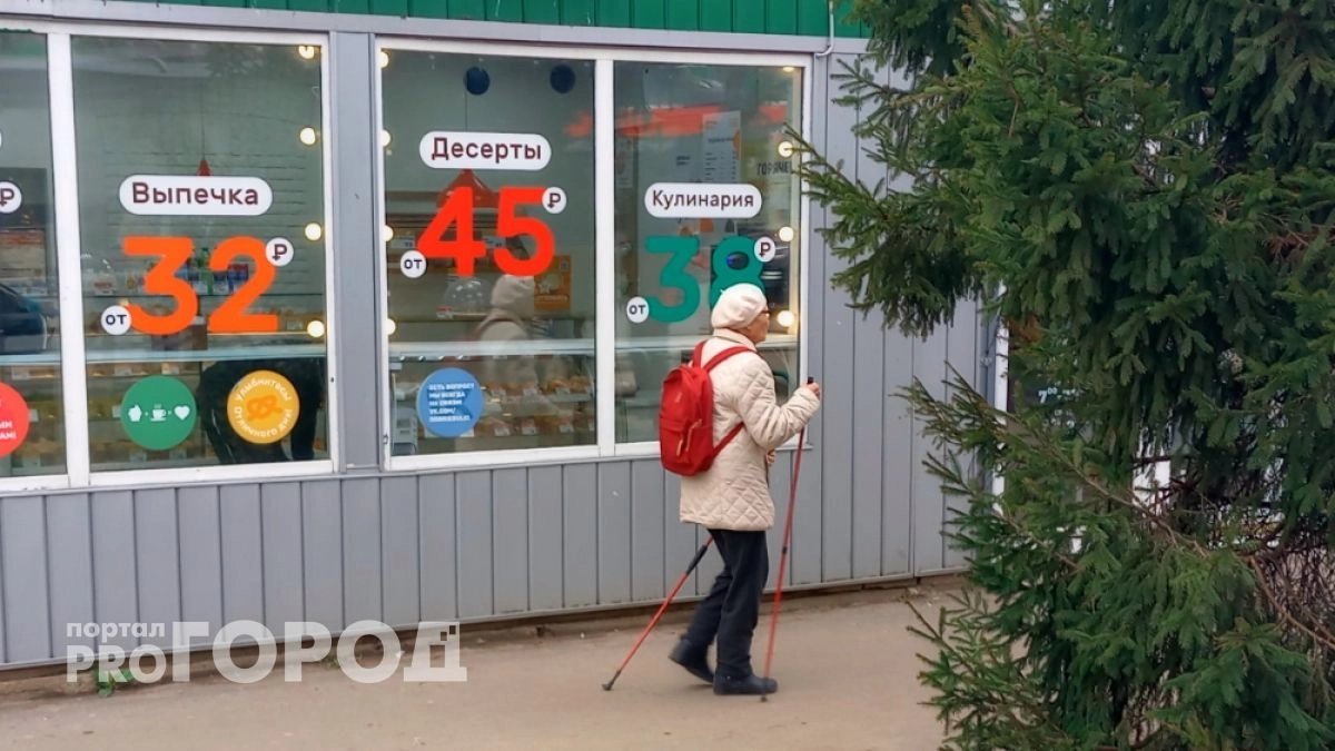 Владимирских добровольцев просят «подарить прогулку» маломобильным землякам