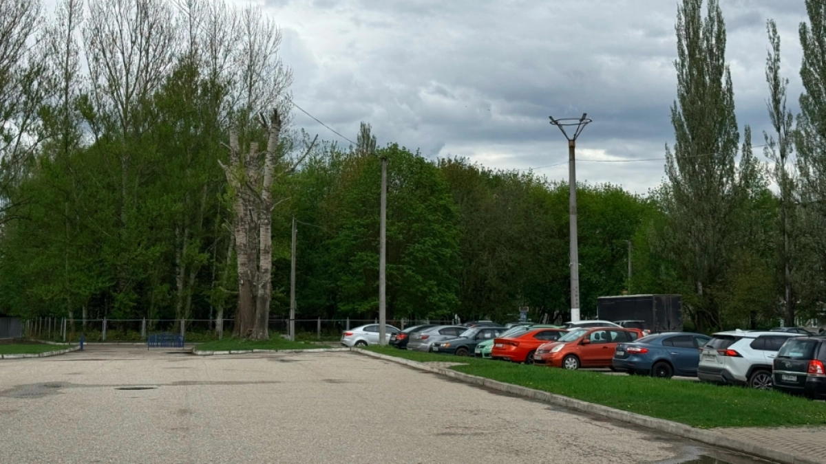 В 33-м регионе уточнили условия размещения парковок на автомобильных трассах