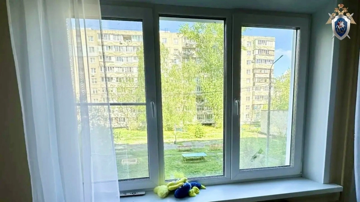 В Муроме трехлетняя девочка выпала из окна вместе с москитной сеткой