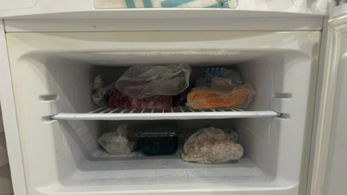 Вот почему холодильник источает вонь: дело не в порченных продуктах - 3 причины и способ устранить