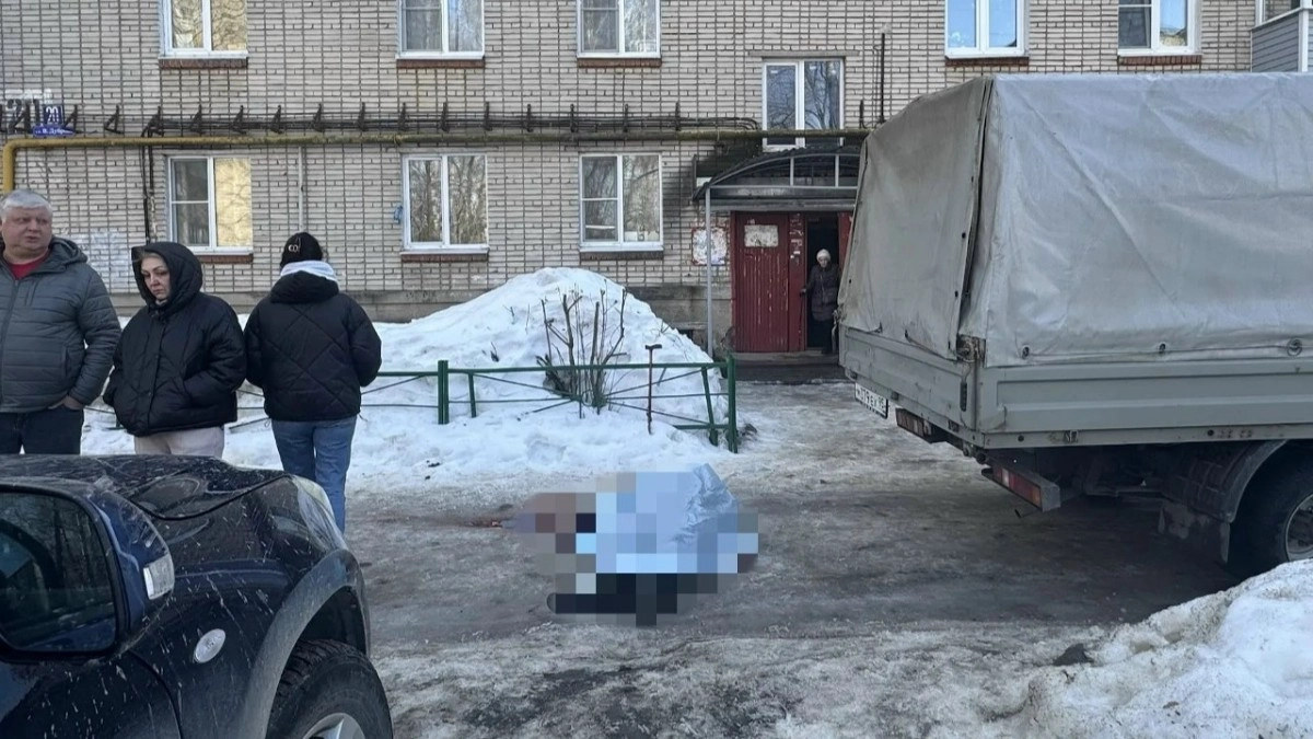Во Владимире осудят мужчину за летальное ДТП с 85-летней пенсионеркой