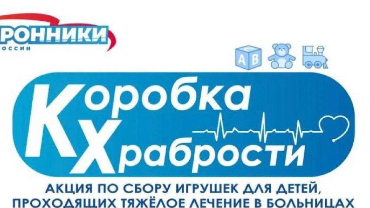Сторонники «Единой России» собирают «Коробку храбрости»