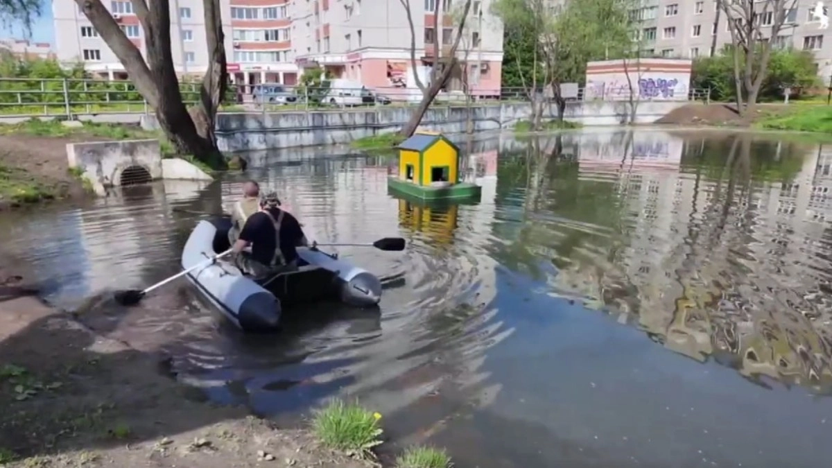 Утиные домики вернулись на пруд около улицы Комиссарова во Владимире